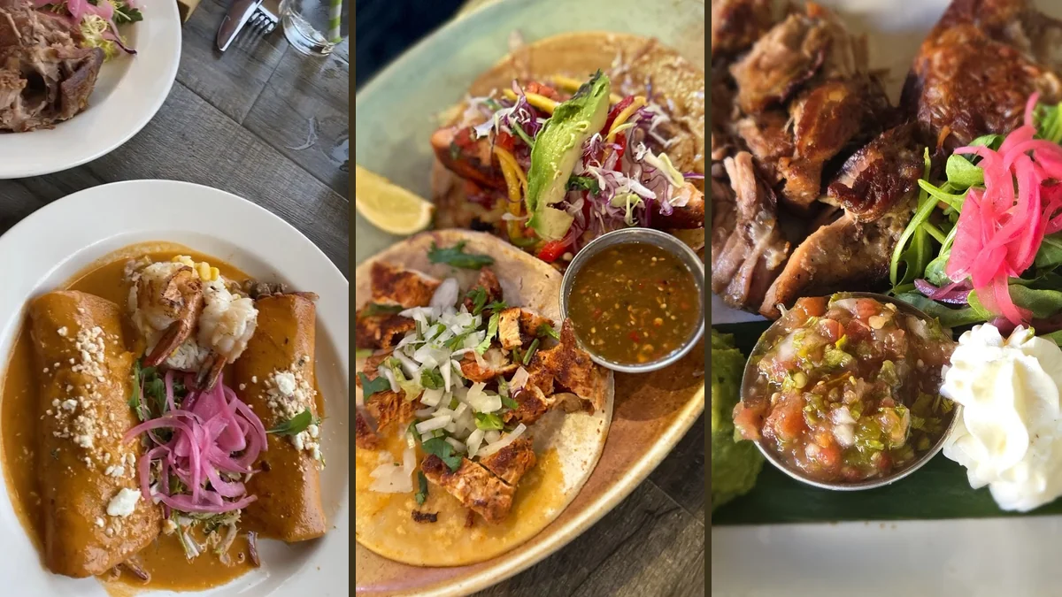 Plated Mexican dishes with modern presentation.